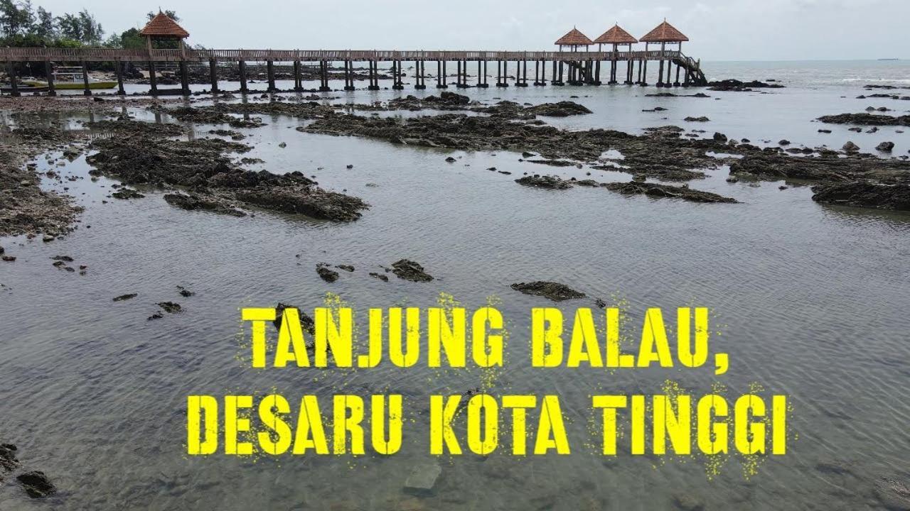 Desaru 16Pax Family With Private Mini Pool & Jacuzzi Villa Kota Tinggi Eksteriør bilde